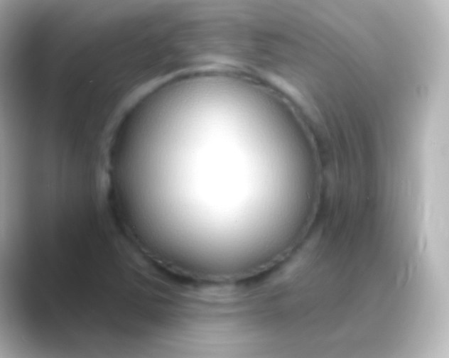 X0000088711363200706211955