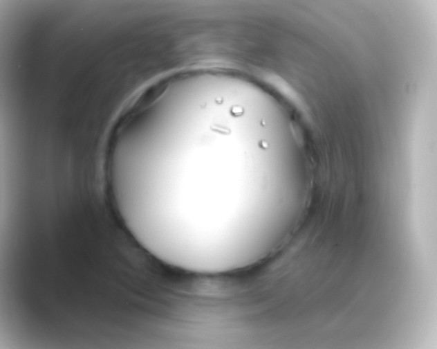 X0000088711364200706211955