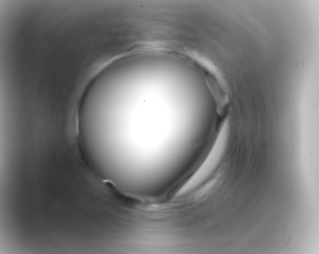 X0000088711365200706211955