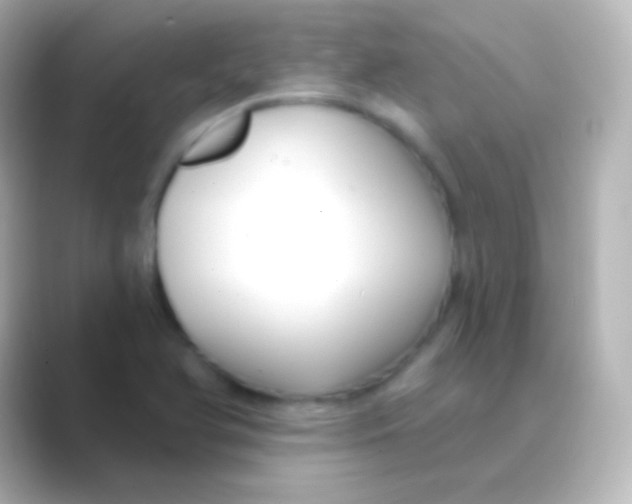 X0000088711366200706211955