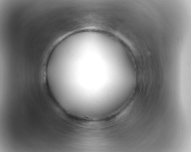 X0000088711367200706211955