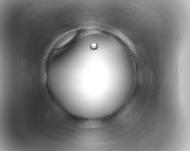 X0000088711368200706211955