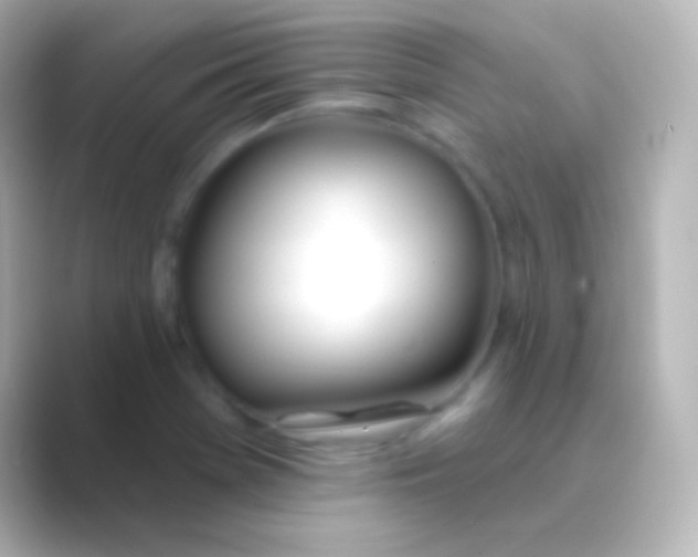 X0000088711369200706211955