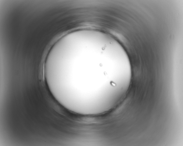 X0000088711371200706211955