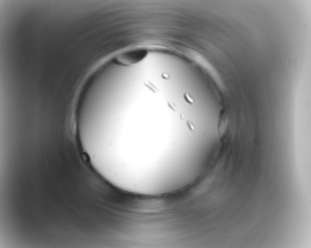 X0000088711372200706211955