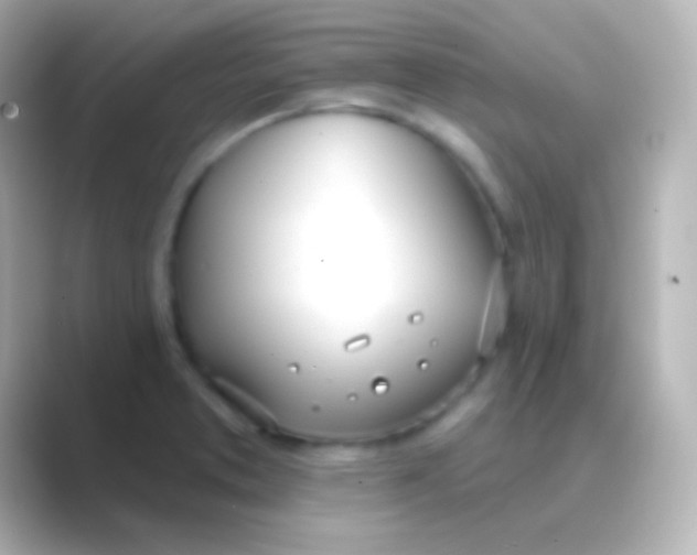 X0000088711373200706211955