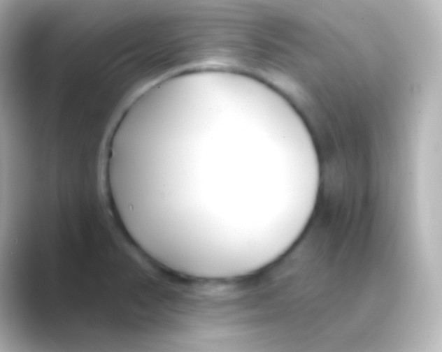 X0000088711374200706211955