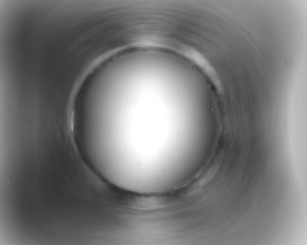 X0000088711376200706211955