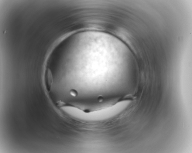 X0000088711379200706211955