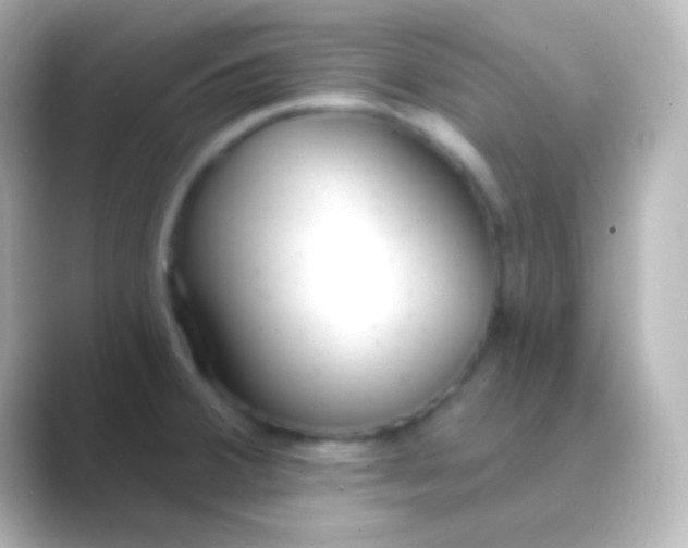 X0000088711380200706211955