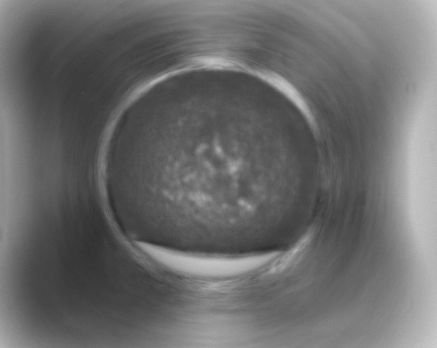 X0000088711381200706211955