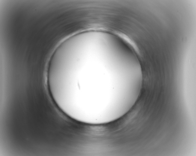 X0000088711383200706211955