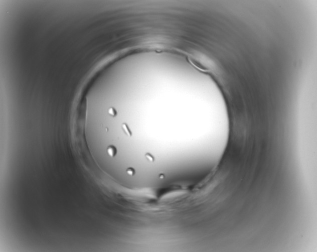 X0000088711384200706211955