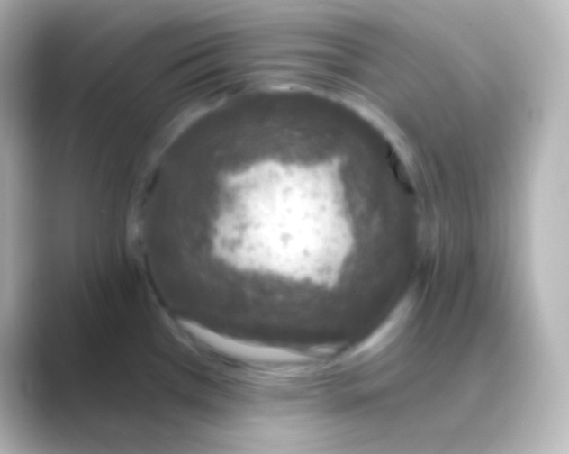 X0000088711385200706211955