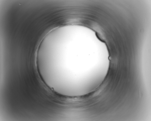 X0000088711386200706211955