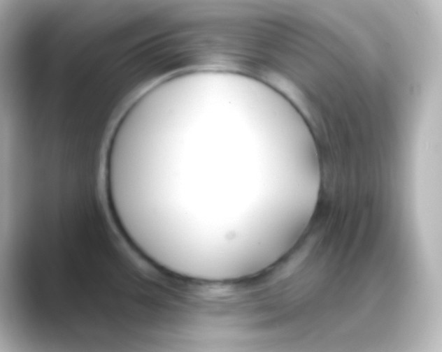 X0000088711387200706211955