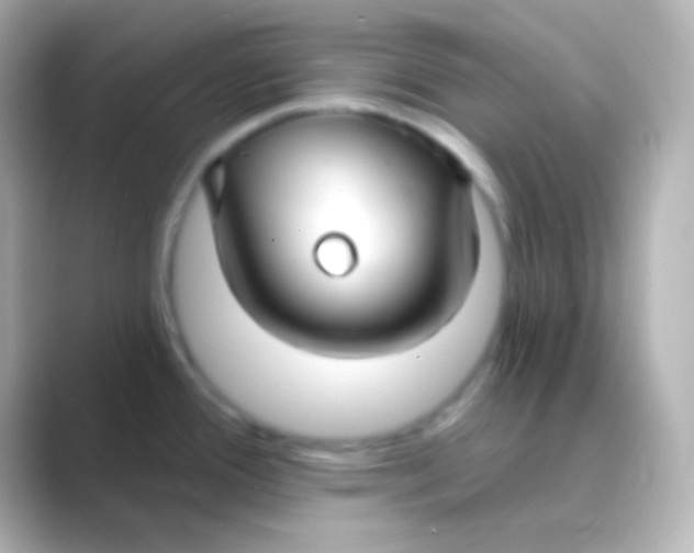 X0000088711388200706211955