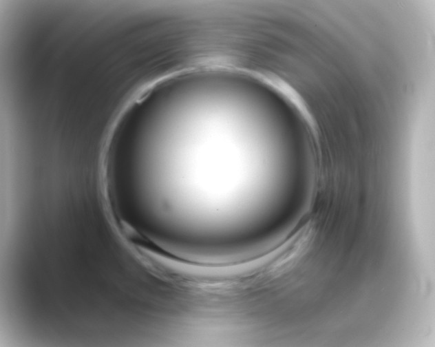 X0000088711389200706211955