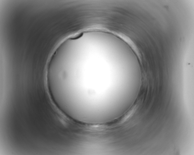 X0000088711390200706211955