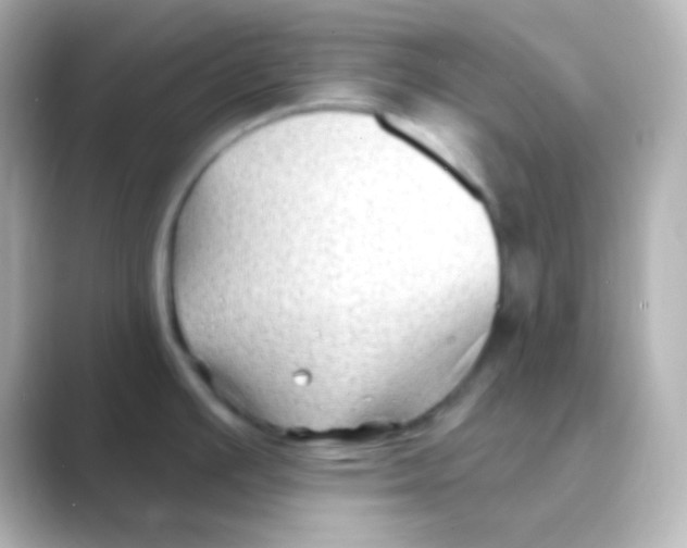 X0000088711391200706211955