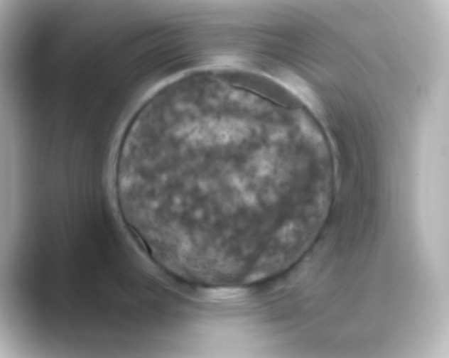 X0000088711392200706211955