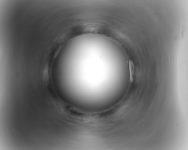 X0000088711394200706211954