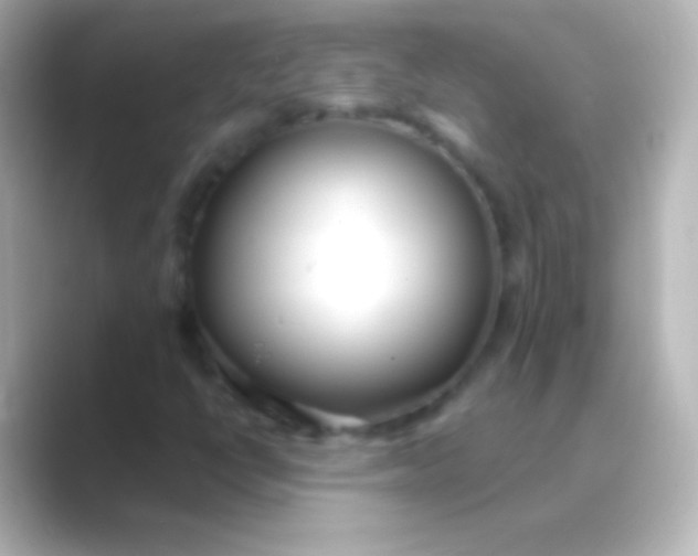 X0000088711398200706211954