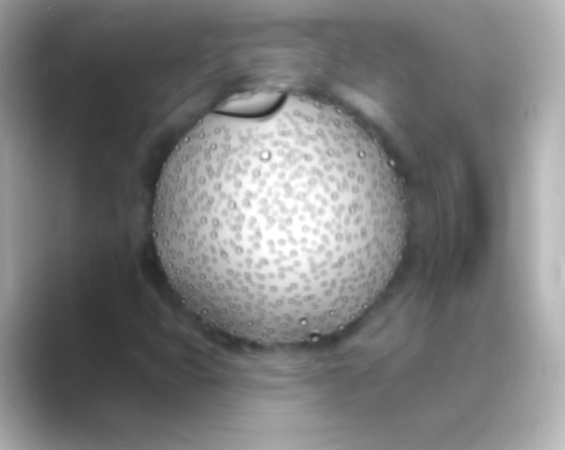 X0000088711399200706211954