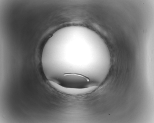 X0000088711400200706211954