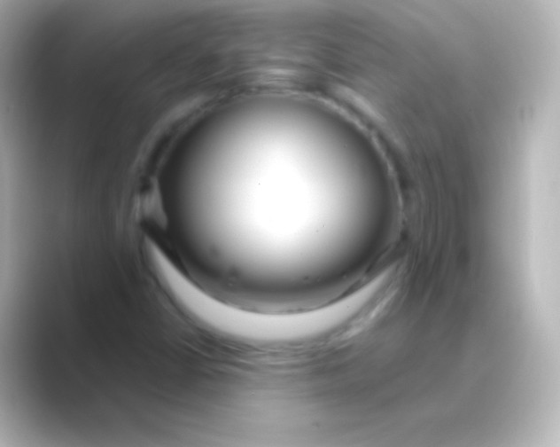 X0000088711402200706211954