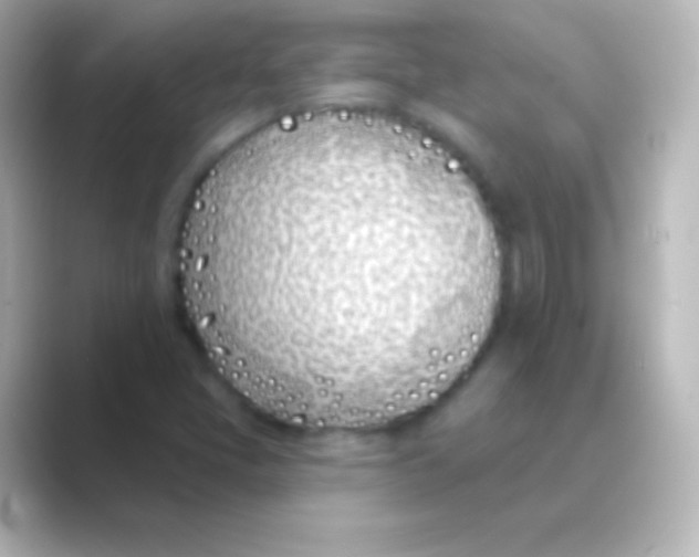 X0000088711405200706211954