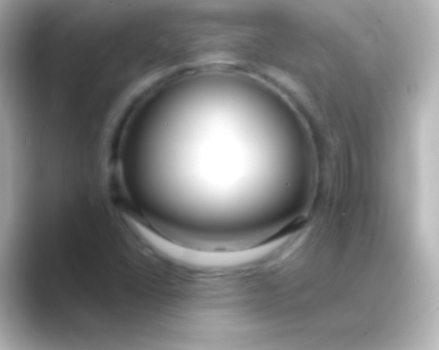 X0000088711406200706211954