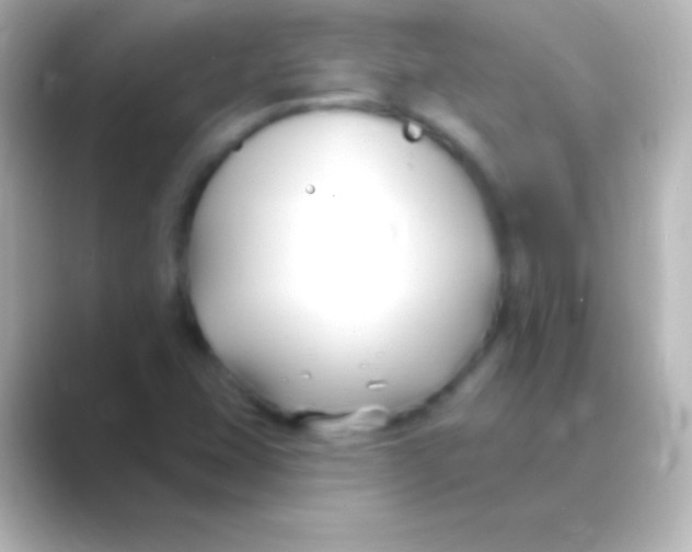 X0000088711407200706211954