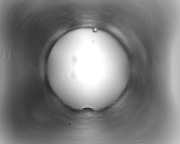 X0000088711411200706211954