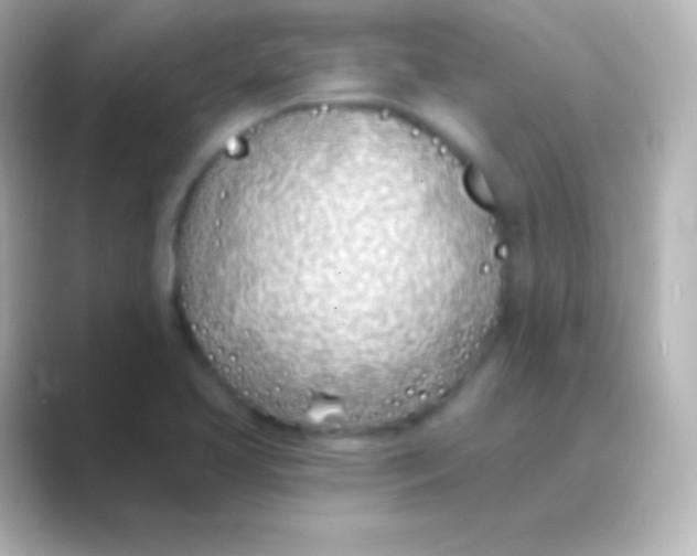 X0000088711413200706211954