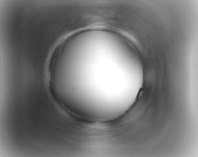 X0000088711414200706211954