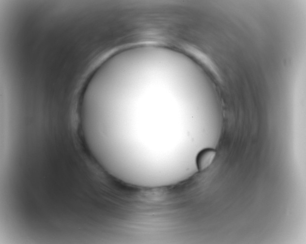 X0000088711415200706211954