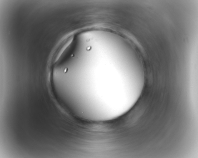 X0000088711416200706211954