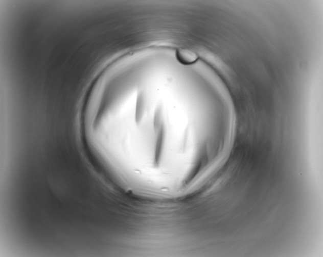 X0000088711423200706211954