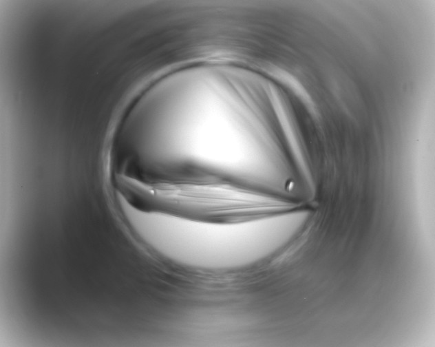 X0000088711424200706211954