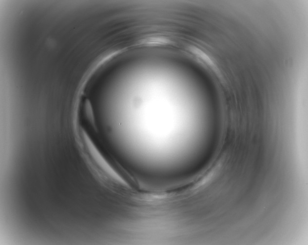 X0000088711426200706211954