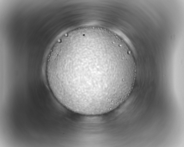 X0000088711429200706211954