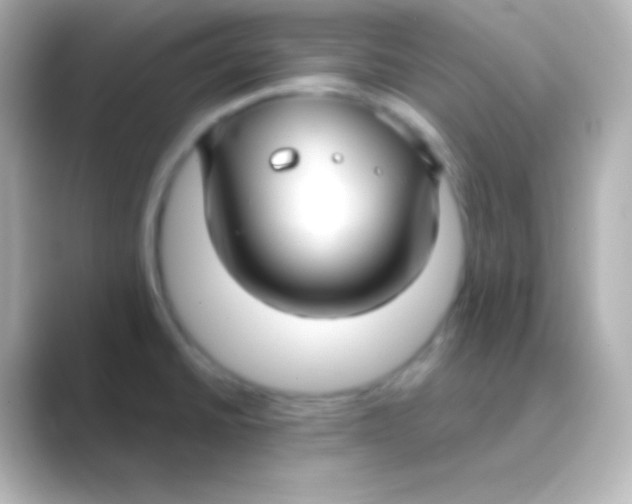 X0000088711430200706211954