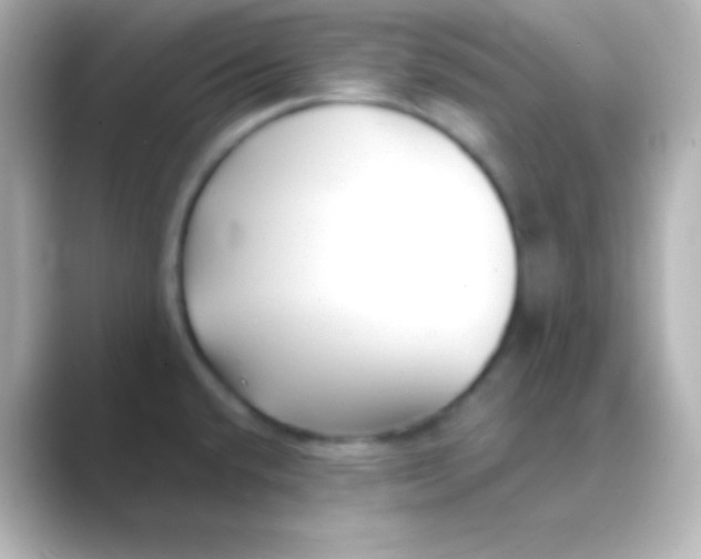 X0000088711432200706211955