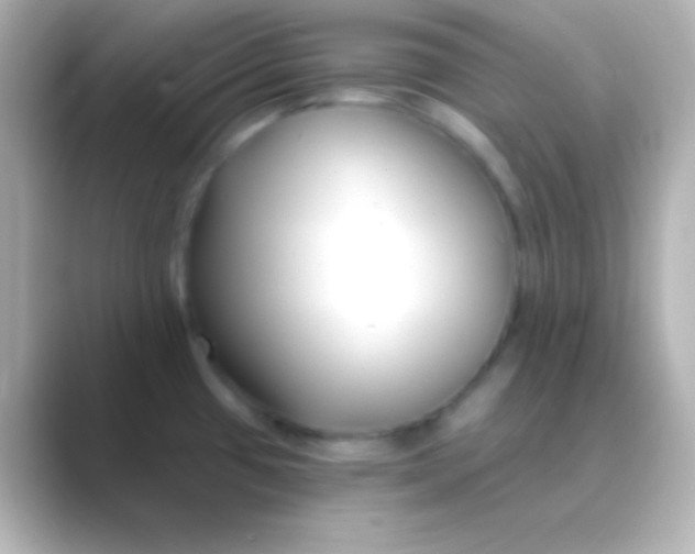 X0000088711433200706211955