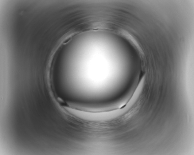 X0000088711434200706211955