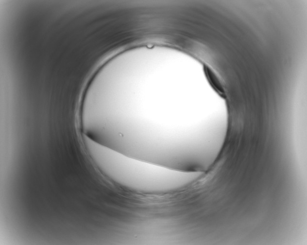 X0000088711436200706211955