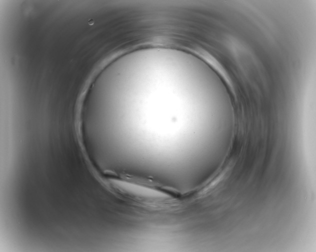 X0000088711437200706211955