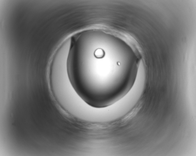 X0000088711438200706211955