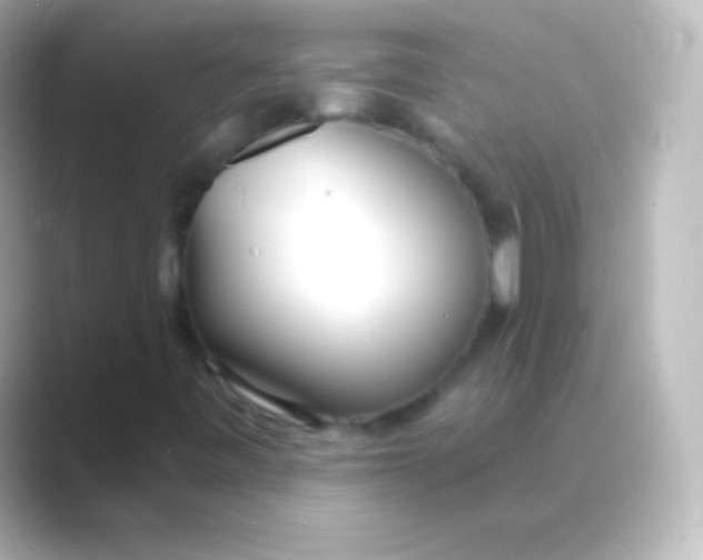 X0000088711443200706211954